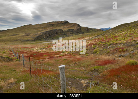 Escursioni a piedi lungo il Parco Nazionale di Torres del Paine Foto Stock