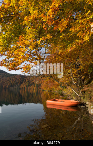 Pavin lago in autunno, Puy-de-Dôme, Auvergne Rodano Alpi, Francia, Europa Foto Stock