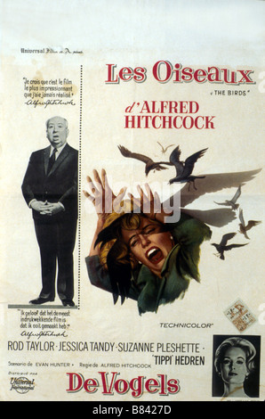 Gli uccelli Anno: 1963 - USA Direttore: Alfred Hitchcock film poster (Bel) Foto Stock