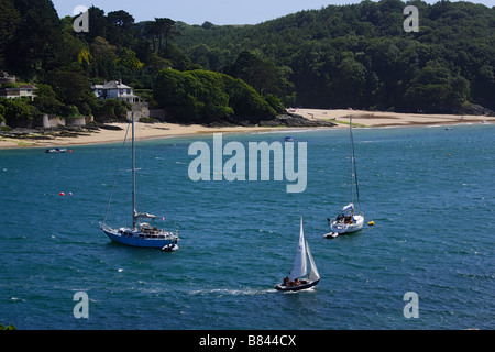 Ripresa aerea di una spiaggia Salcombe Devon England Regno Unito Foto Stock