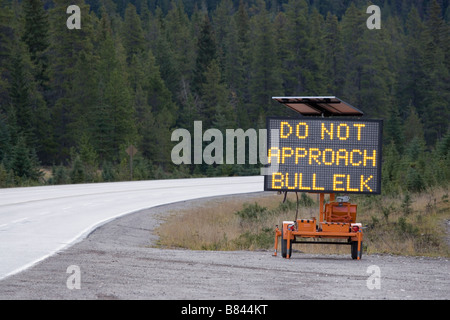 Temporanea segno di avvertimento inviato lungo l'autostrada durante l'Elk solchi stagione, Jasper National Park, Alberta, Canada. Foto Stock