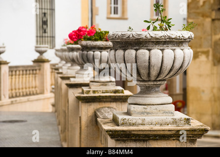 Fila di fioriere in Plaza de Carlos III, Cortes de la Frontera, Serrania de Ronda, Andalusia, Spagna Foto Stock