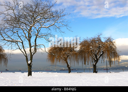 Salici a Kitsilano park dopo nevicava con Vancouver sfondo fiordo Foto Stock