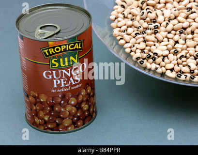 Caraibi piselli e fagioli black eyed fagioli e piselli Gungo Foto Stock