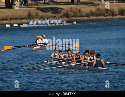 I canottieri lungo il fiume Yarra a Melbourne Victoria Australia Foto Stock