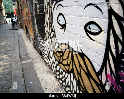 Graffiti pareti dipinte di Hosier Lane, che conduce alla Federation Square, Melbourne, Victoria, Australia. N. PR o MR Foto Stock