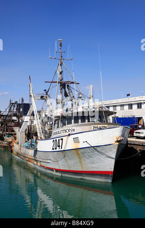 La pesca a strascico,primo porto,Timaru,Canterbury,Isola del Sud,Nuova Zelanda Foto Stock