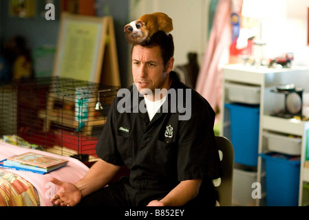 Storie di coricarsi Anno : 2008 USA Direttore : Adam Shankman Adam Sandler Foto Stock