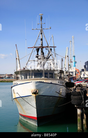 La pesca a strascico,primo porto,Timaru,Canterbury,Isola del Sud,Nuova Zelanda Foto Stock