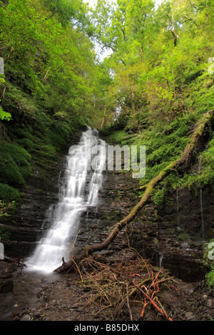 Water-Break-è-collo cascata in legno di Warren, vicino New Radnor, POWYS, GALLES. Foto Stock