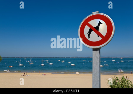 'No cani ammessi segno, Spiaggia, Arcachon Gironde, Francia Foto Stock