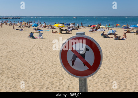 'No cani ammessi segno, Spiaggia, Arcachon Gironde, Francia Foto Stock