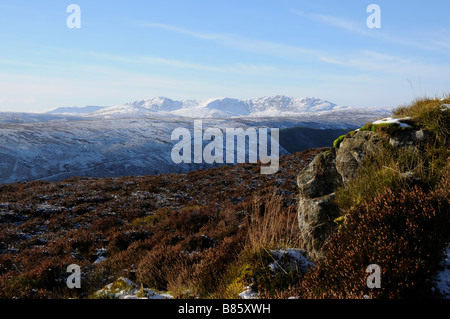 Aran fawddwy southern Snowdonia North Wales UK Foto Stock