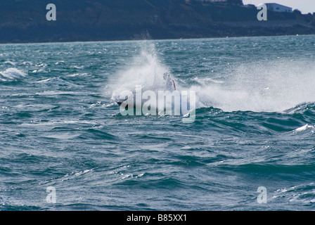 Jet-sci nei pressi di Sark Foto Stock