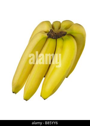 Grappolo di banane Foto Stock