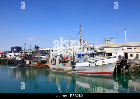 La pesca a strascico,primo porto,Timaru,Canterbury,Isola del Sud,Nuova Zelanda Foto Stock