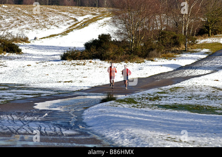 Due guide in Sutton Park in inverno, West Midlands, England, Regno Unito Foto Stock