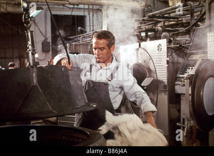 Il MacKintosh uomo Anno : 1973 USA / UK Paul Newman Direttore: John Huston Foto Stock