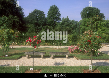 Arboretum de l'ecole du Breuil a Parigi Foto Stock