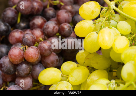 Il rosso e il verde UVA per vendita a frutta e verdura stand a Firenze, Italia Foto Stock