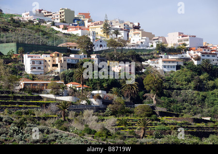 Montagna proprietà terrazzati in Icod de Los Vinos Nord Tenerife Isole Canarie Foto Stock