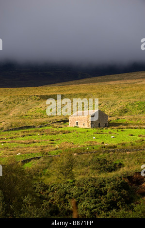 Fienile di campo al di sotto di un burrascoso cielo di autunno nel trogolo di Bowland Lancashire Foto Stock