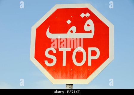 Abu Dhabi primo piano del segnale di stop bilingue rosso stradale still life immagine negli Emirati Arabi Uniti Medio Oriente Asia Foto Stock