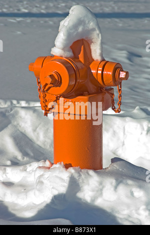 Idrante di fuoco nella neve Foto Stock