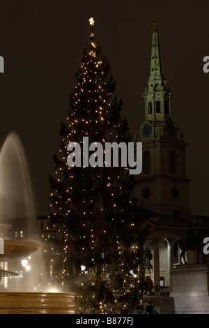 Norwegian albero di Natale 2008 Trafalgar Square London REGNO UNITO Foto Stock