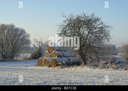 Strohballen im Schnee balle di paglia in snow 01 Foto Stock