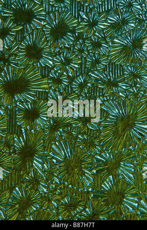 Immagine astratta delle forme sul vetro in una vecchia porta la creazione di un disegno intricato con colori e forme Foto Stock