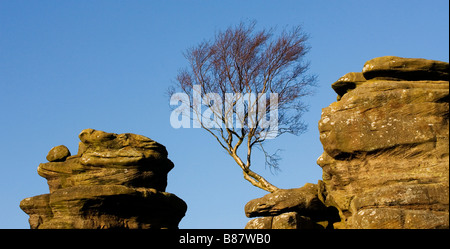 Brimham Rocks North Yorkshire England Regno Unito Foto Stock