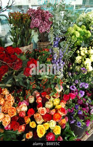 Selezione di fiori diversi per la vendita nel selvaggio a cuore i fioristi a Isola di turchese, Westbourne Grove, Notting Hill. Foto Stock