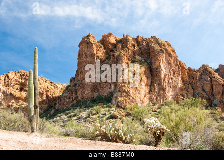 Scenario desertico nel deserto dell'Arizona Foto Stock