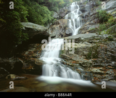 TENNESSEE - Ramsay Cascades sul polo centrale Little Pigeon River nel Parco Nazionale di Great Smoky Mountains. Foto Stock