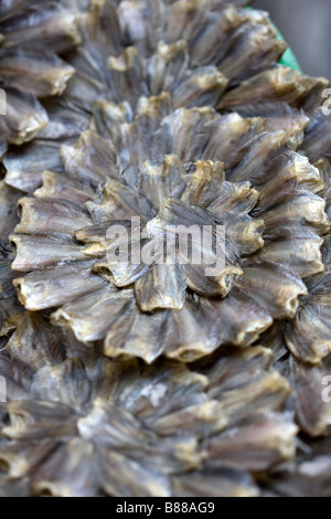 Pesci secchi in stallo nel mercato di Chinatown Bangkok in Thailandia Foto Stock