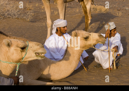 Uomini e cammelli nel trimestre vuota al deserto Rub Al Khali vicino a Muscat il capitale di Oman Golfo Persico Mar Arabico Foto Stock