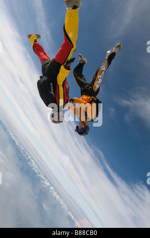 Skydivers sono battenti a testa in giù e la tenuta di ciascun altro. In questa posizione di freefly il team potrà ottenere una elevata velocità di caduta libera. Foto Stock