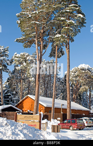 Landmark Visitor Center in inverno a Carrbridge Inverness-shire Scotland SCO 2076 Foto Stock