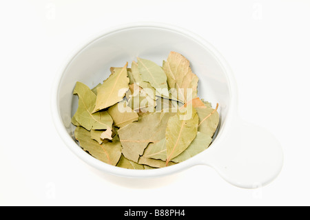 Essiccata foglie di alloro Laurus nobilis in una ciotola su sfondo bianco Foto Stock