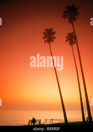 Giovane seduto sul banco sotto le palme al tramonto in Laguna Beach California Foto Stock
