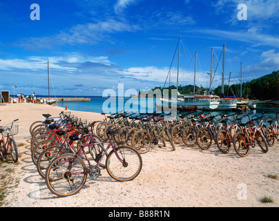 Un servizio di noleggio biciclette in attesa in corrispondenza di approdo su La Digue Island alle Seychelles Foto Stock