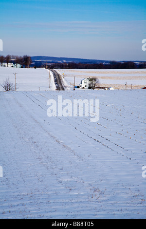 Coperta di neve i campi in Pennsylvania rurale Foto Stock