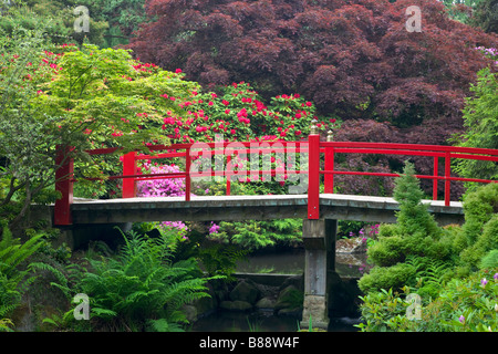 Seattle, WA: Giardini Kubota - Cuore si estende a ponte la collana di stagni Foto Stock