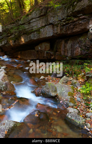Una forma di scena il Flume Gorge in Franconia Notch State Park, New Hampshire, STATI UNITI D'AMERICA Foto Stock