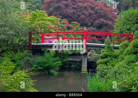 Seattle, WA: Giardini Kubota - Cuore si estende a ponte la collana di stagni Foto Stock