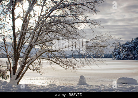 La Cairngorm mountains da congelati Loch Garten Osprey Centre nelle colline della coperta di neve Parco Nazionale. SCO 2095 Foto Stock