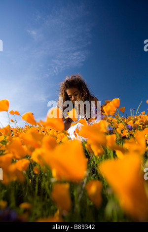 Bambina 7 anni picking california poppies off di una collina nel lago di Elsinore riverside county california usa MR Foto Stock
