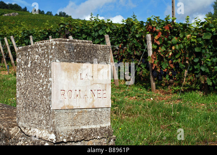 Vigneto Le Romanee, Vosne Romanee, Borgogna, Francia Foto Stock