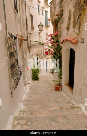 Una bella vista lungo la Via di Terrazzo nella città vecchia di Sperlonga, Lazio, l'Italia, l'Europa. Foto Stock